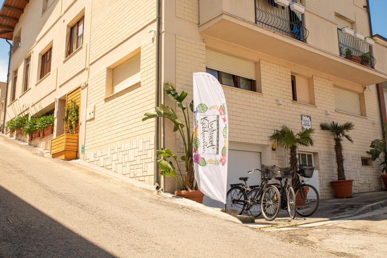 Resilienza Tropical Apartments & Room Porto SantʼElpidio 外观 照片