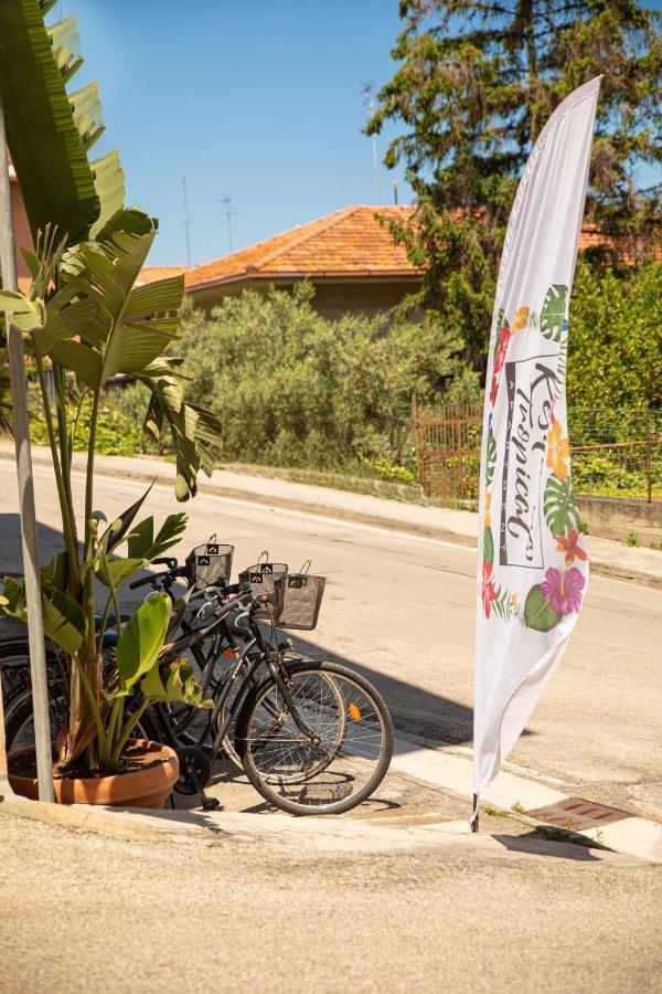 Resilienza Tropical Apartments & Room Porto SantʼElpidio 外观 照片